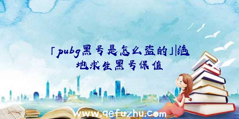 「pubg黑号是怎么盗的」|绝地求生黑号保值